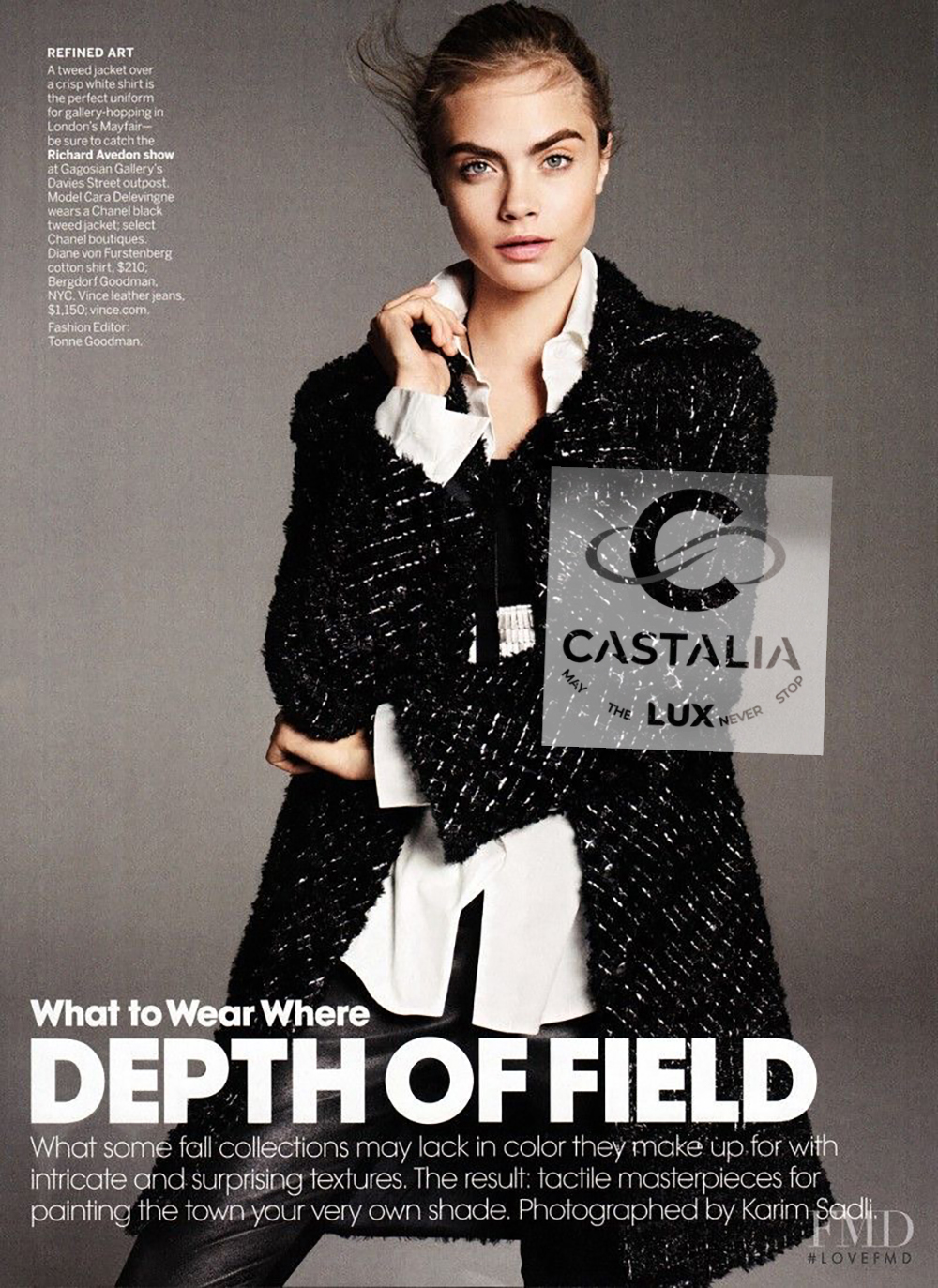 Globalization fluffy coat cel cara copy.jpg