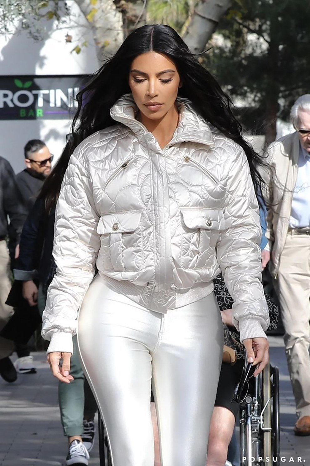 18N Neige Pearl camellia puffer cel  2.JPG